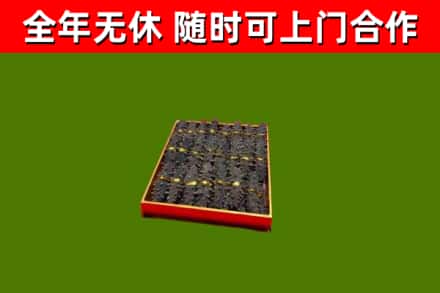 甘泉回收海参